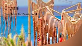  Presentation with octopus - Presentation enhanced with octopus hanging to dry on a mediterranean beach background and a coral colored foreground