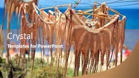  Presentation with octopus - Audience pleasing presentation theme consisting of octopus hanging to dry on mediterranean beach backdrop and a coral colored foreground