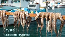  Presentation with octopus - Slide set consisting of octopus-hanging-up background and a ocean colored foreground