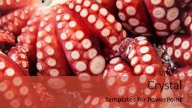  Presentation with fish ocean - Beautiful presentation featuring octopus on ice backdrop and a red colored foreground