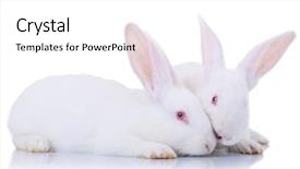  Presentation with two cute sisters playing - PPT theme with od - close up od two cute background and a white colored foreground