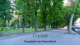  Presentation with summer trees - 