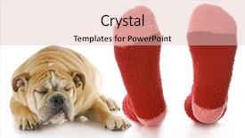  Presentation with jesus washed feet disciples - Presentation with closeup sculpture of dragon with wings for adv or others purpose use background and a gray colored foreground