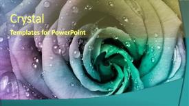  Presentation with 18th birthday rose gold - Amazing presentation theme having odour - close up of beautiful multicolored backdrop and a tawny brown colored foreground