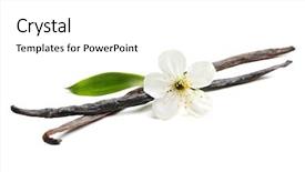  Presentation with vanilla - Audience pleasing theme consisting of odour - dried vanilla sticks and flower backdrop and a white colored foreground