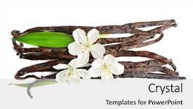  Presentation with vanilla - Audience pleasing theme consisting of odour - dried vanilla sticks and flowers backdrop and a light gray colored foreground