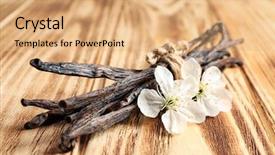  Presentation with vanilla - Theme consisting of odour - dried vanilla sticks and flowers background and a coral colored foreground