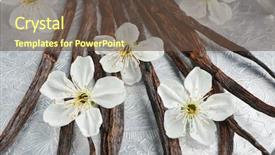  Presentation with dried vanilla pods and flowers - Amazing PPT layouts having odour - metal plate with dried vanilla backdrop and a  colored foreground