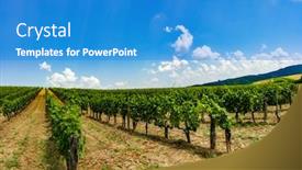  Presentation with hungary - Presentation design featuring of-the-many-vineyards background and a teal colored foreground