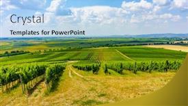  Presentation with hungary - Theme with of-the-many-vineyards background and a light blue colored foreground