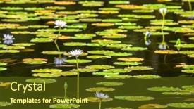  Presentation with aquatic - Amazing PPT theme having off-to-the-side backdrop and a tawny brown colored foreground