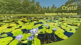  Presentation with aquatic - Slide set consisting of off-to-the-side background and a tawny brown colored foreground