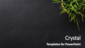  Presentation with flower office desk table - Presentation featuring office leather desk table background and a dark gray colored foreground