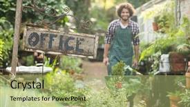  Presentation with plants - PPT layouts featuring office placard by plants while male gardener working in background at greenhouse background and a mint green colored foreground