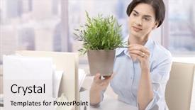  Presentation with green office - Presentation design consisting of office worker holding potted plant background and a soft green colored foreground