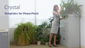  Presentation with plants - Colorful presentation theme enhanced with office-worker-watering-potted-plants backdrop and a sky blue colored foreground