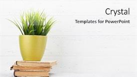  Presentation with pink home office - Audience pleasing presentation theme consisting of office workplace with old book backdrop and a white colored foreground