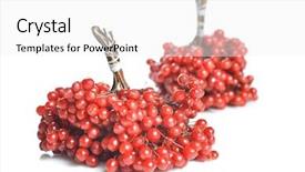  Presentation with leafy greens and berries - PPT theme having officialisl plants - berries of red viburnum background and a  colored foreground