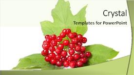  Presentation with red and gold leaves - Cool new PPT theme with officialisl plants - berries of red viburnum backdrop and a soft green colored foreground