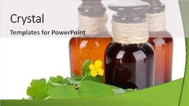  Presentation with medicine plants - PPT theme enhanced with officialisl plants - blooming celandine with medicine bottles background and a light gray colored foreground