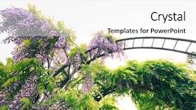  Presentation with gardens - Amazing theme having oh - cascading wisteria at inniswood gardens backdrop and a white colored foreground