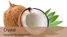  Presentation with palm leaves - Slides featuring oil - coconut with palm leaves isolated background and a coral colored foreground