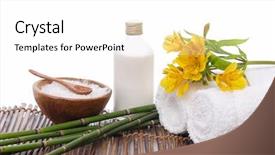  Presentation with salt - Amazing presentation theme having oil bamboo grove on mat backdrop and a  colored foreground