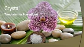  Presentation with orchid - Beautiful presentation featuring oil candle on wet banana backdrop and a  colored foreground