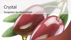  Presentation with agriculture olive oil - Audience pleasing slide set consisting of olives with leaves backdrop and a white colored foreground