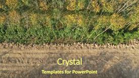  Presentation with deforestation - Presentation theme having oil earth - deforestation logging environmental problem background and a coral colored foreground