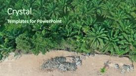  Presentation with deforestation - Beautiful slide deck featuring oil earth - deforestation logging of forest backdrop and a ocean colored foreground