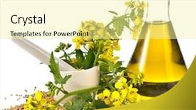  Presentation with oil seeds - Presentation enhanced with oil glass jar and mustard background and a blonde colored foreground