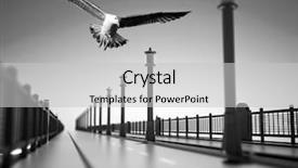  Presentation with seagull - PPT theme featuring oil lamps - seagull background and a light gray colored foreground