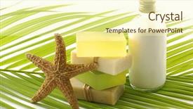  Presentation with green offices - PPT layouts with oil palm frond - green bathroom set for spa background and a cream colored foreground