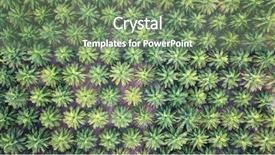  Presentation with oil palm plantation - Beautiful slide deck featuring tropical food malaysia - oil palm plantation aerial photo backdrop and a seafoam green colored foreground