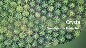 Presentation with oil palm plantation - Slide set featuring tropical food malaysia - oil palm plantation aerial photo background and a seafoam green colored foreground