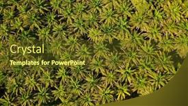  Presentation with oil palm plantation - Colorful presentation theme enhanced with oil-palm-plantation-from-above backdrop and a tawny brown colored foreground