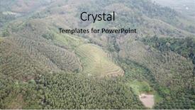  Presentation with oil production - Beautiful slide deck featuring oil palm plantations and forest backdrop and a light gray colored foreground