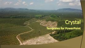  Presentation with palm oil - Slide deck with oil palm plantations environmental destruction background and a tawny brown colored foreground