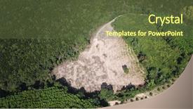  Presentation with palm oil - Colorful PPT theme enhanced with oil palm plantations environmental destruction backdrop and a tawny brown colored foreground