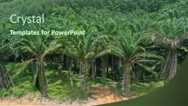  Presentation with oil production - Colorful presentation theme enhanced with oil-palm-trees-in-plantation backdrop and a ocean colored foreground