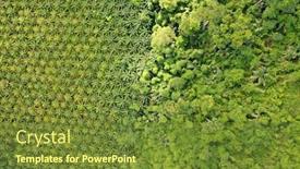  Presentation with palm plantation - Presentation theme with oil-palm-trees-plantation background and a tawny brown colored foreground