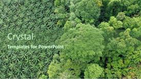  Presentation with oil palm plantation - Presentation having oil-palm-trees-plantation background and a tawny brown colored foreground