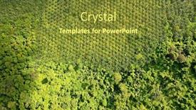  Presentation with palm plantation - Cool new PPT theme with oil-palm-trees-plantation backdrop and a tawny brown colored foreground