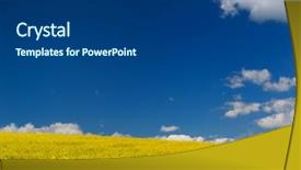  Presentation with seed oil - Audience pleasing presentation theme consisting of oil seed rape field backdrop and a dark gray colored foreground