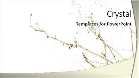  Presentation with splash - PPT layouts consisting of oil splash isolated on white background and a white colored foreground