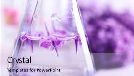  Presentation with process - Slides with oil test - process of making perfumes background and a light blue colored foreground