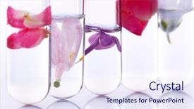  Presentation with process - Slides consisting of oil test - process of making perfumes background and a sky blue colored foreground