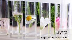  Presentation with process - Beautiful presentation theme featuring oil test - process of making perfumes backdrop and a soft green colored foreground