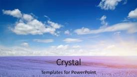  Presentation with sky blue - Slide set enhanced with oilseed - colorful flowers over blue sky background and a light blue colored foreground